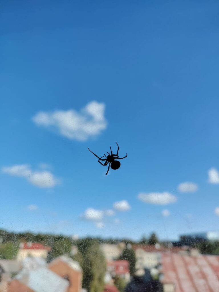 Vorų kontrolės priemonės